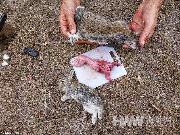 夫妇带全家骑行14个月 并像贝爷一样环保觅食