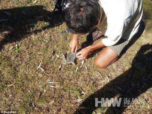 夫妇带全家骑行14个月 并像贝爷一样环保觅食