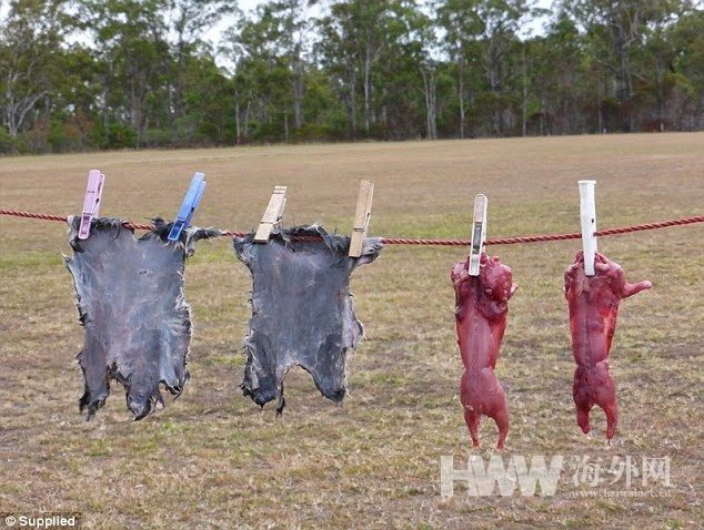 夫妇带全家骑行14个月 并像贝爷一样环保觅食