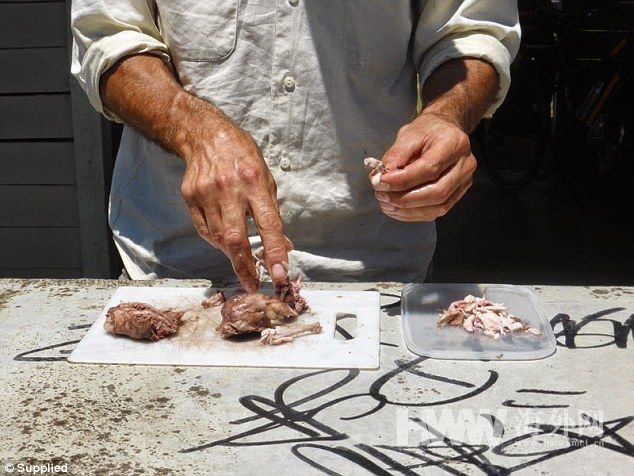 夫妇带全家骑行14个月 并像贝爷一样环保觅食