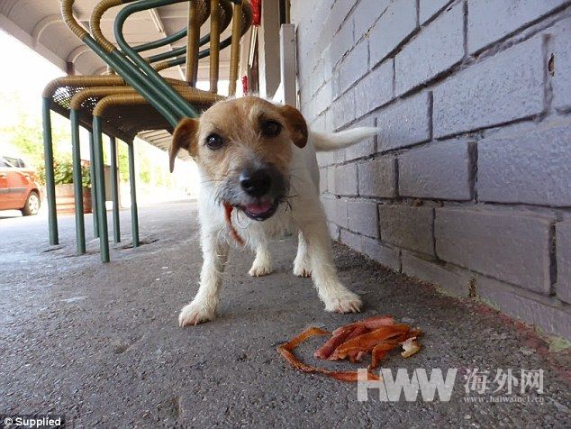 夫妇带全家骑行14个月 并像贝爷一样环保觅食