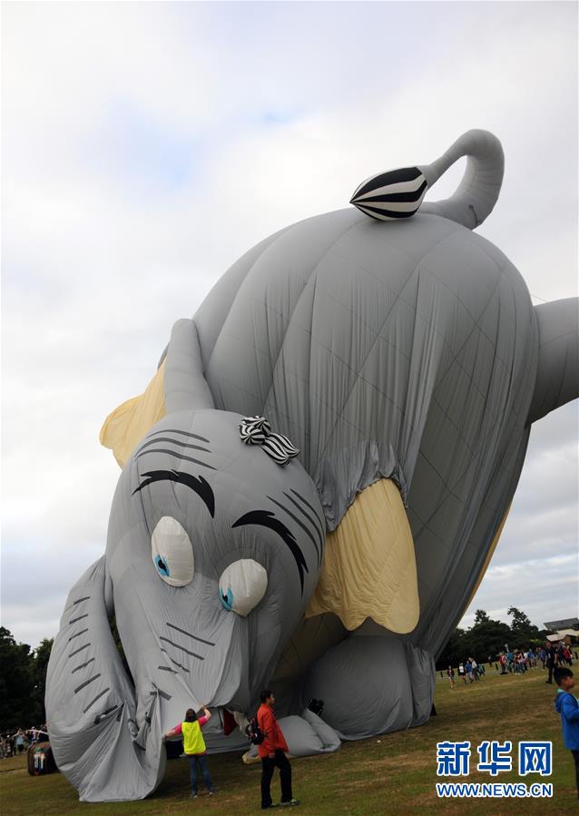 （国际）（2）新西兰怀卡托国际热气球节闭幕