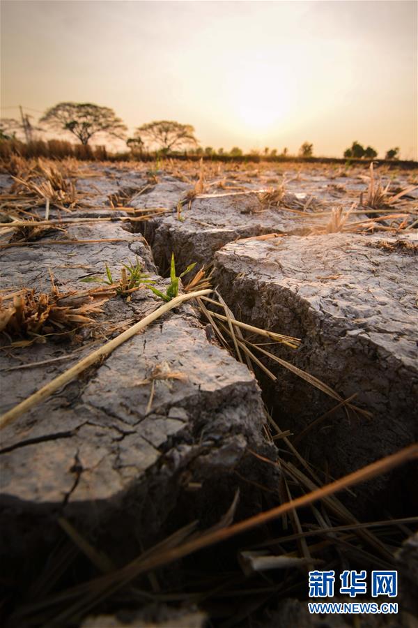 （国际）（2）马来西亚受厄尔尼诺现象影响出现持续高温