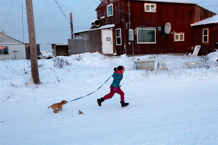 阿拉斯加冰川消融 居民失去家园举步维艰