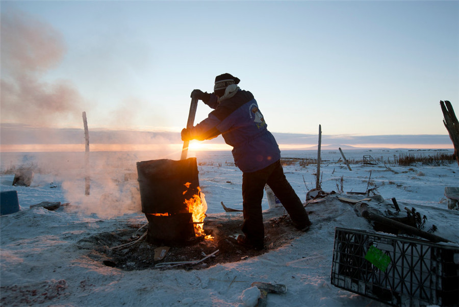 阿拉斯加冰川消融 居民失去家园举步维艰