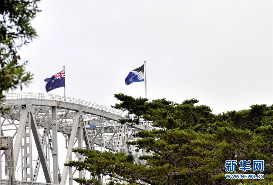 （国际）（1）新西兰全民公决初步结果支持现行国旗