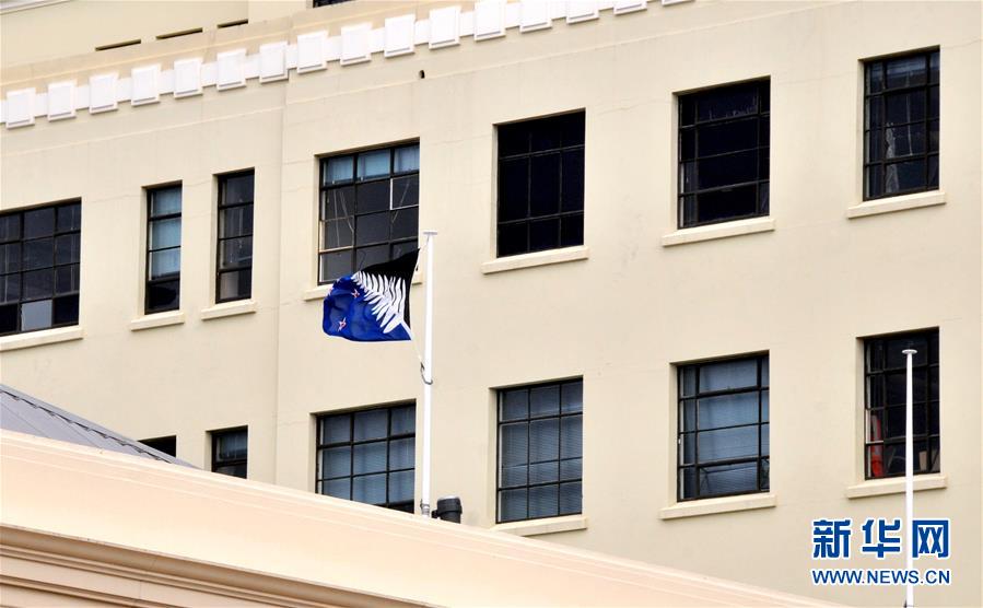 （国际）（3）新西兰全民公决初步结果支持现行国旗