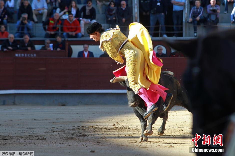 西班牙复活节斗牛赛险象环生