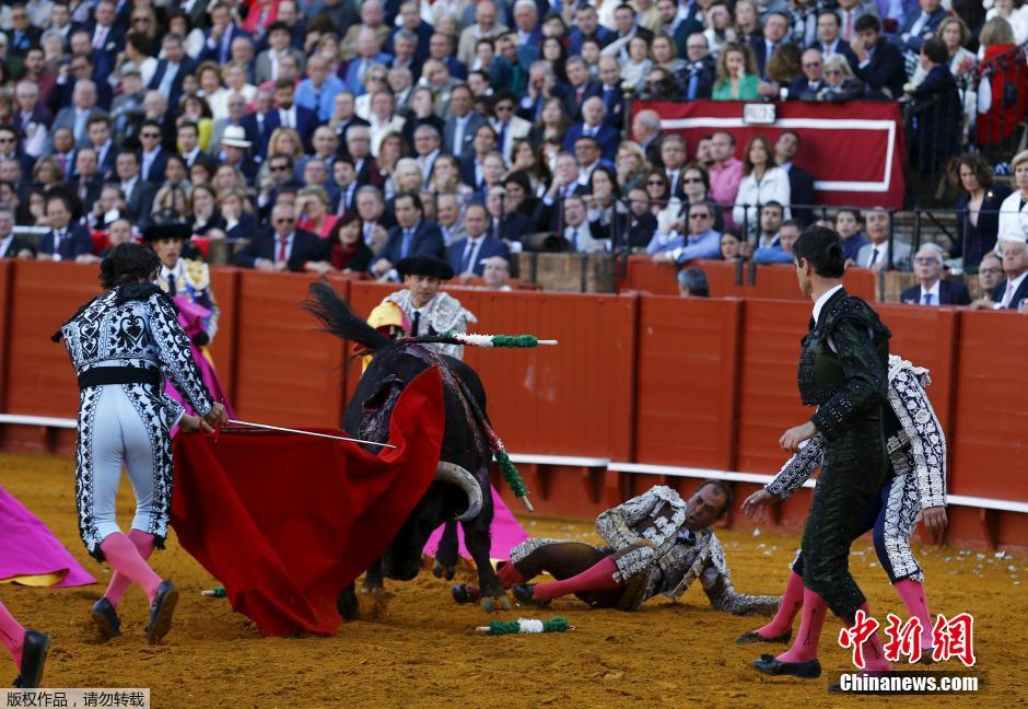 西班牙复活节斗牛赛险象环生