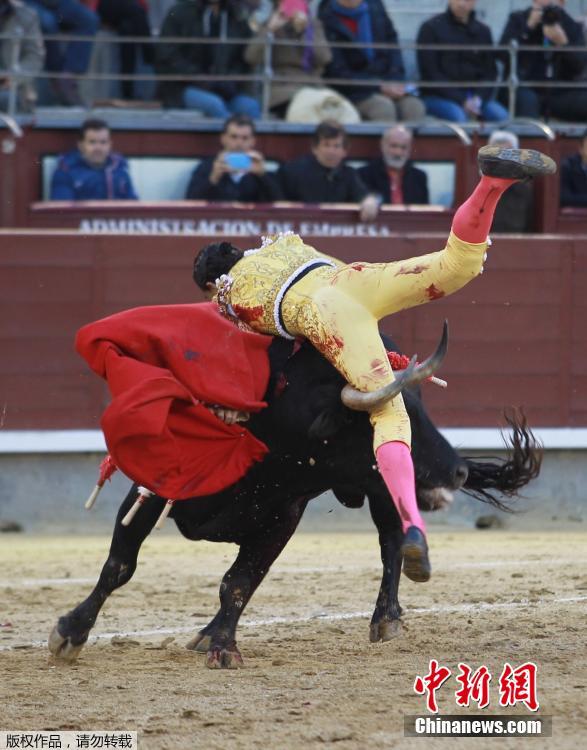 西班牙复活节斗牛赛险象环生(组图)