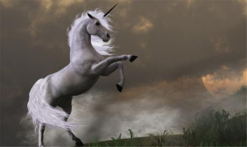 童话里都是骗人的。