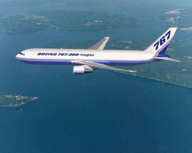 美飞机逃生垫从天而降掉入民宅击中树和遮阳篷