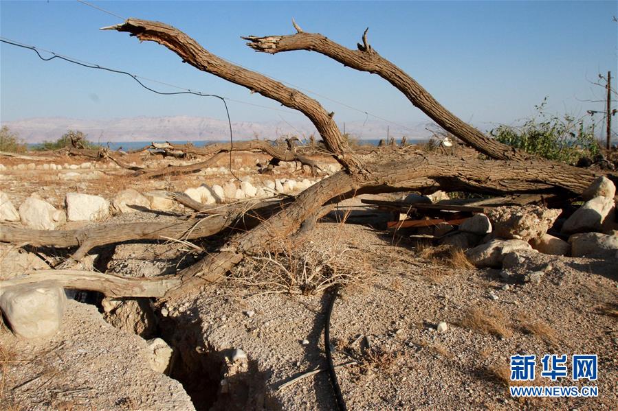 （国际）（4）死海岸边的干涸