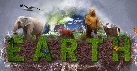 地球日：你可以身体力行的5件事