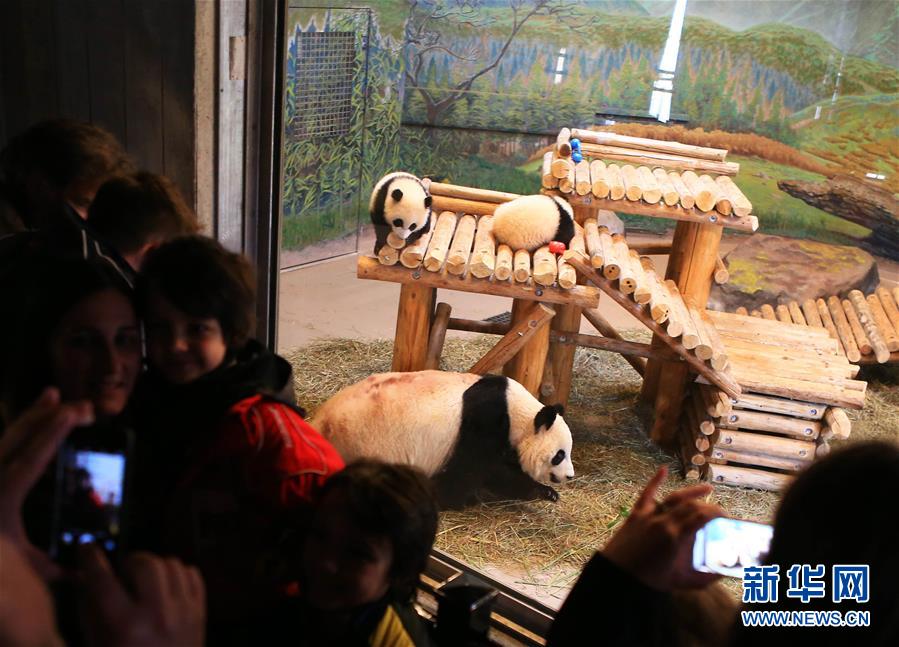 （国际）（2）它们的第一个&ldquo;母亲节&rdquo;