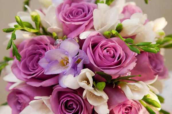 美国化学学会科学家教你如何让鲜花保鲜