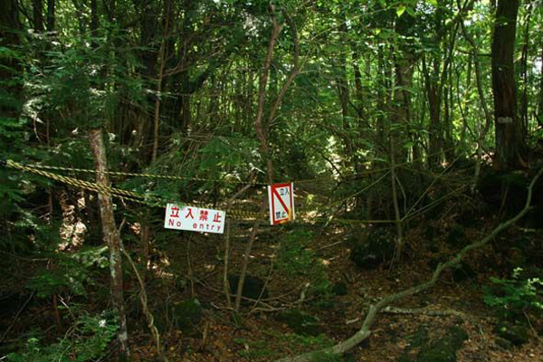青少年自杀率堪忧 日本两名少女携手跳轨