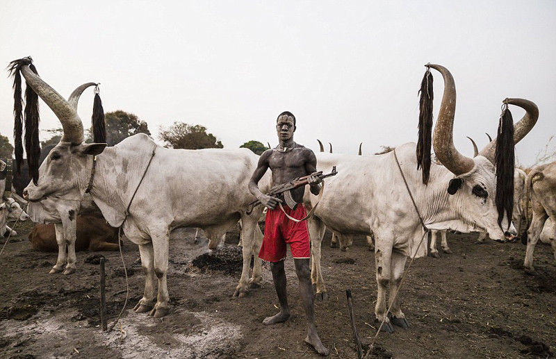实拍以牛为生的地方：用牛尿洗澡 身上涂牛粪