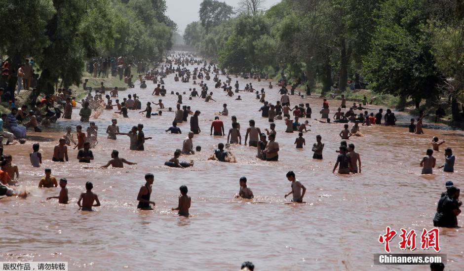 50℃高温袭击巴基斯坦 民众河水中躲避酷暑
