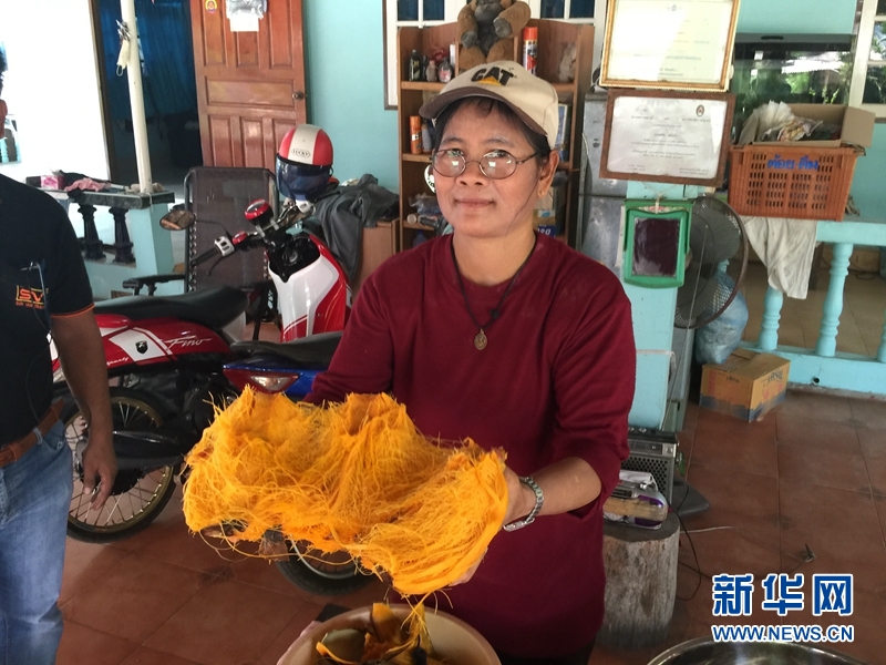 图片故事:树与人,泰国碧武里的糖棕