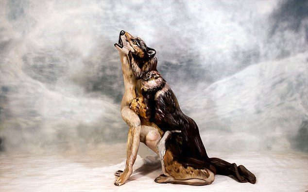 真的是人?!裸体彩绘模特组成逼真狼嚎图(组图