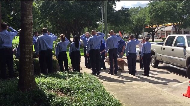 最后一只911搜救犬被安乐死 警员列队敬礼