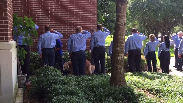 最后一只911搜救犬被安乐死 警员列队敬礼