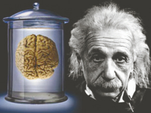 揭秘大脑银行:解剖是确诊的唯一方法