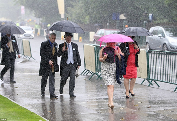 全世界最奢华的赛事又被奇葩&ldquo;帽子&rdquo;抢戏了 没想到你是这样的英国