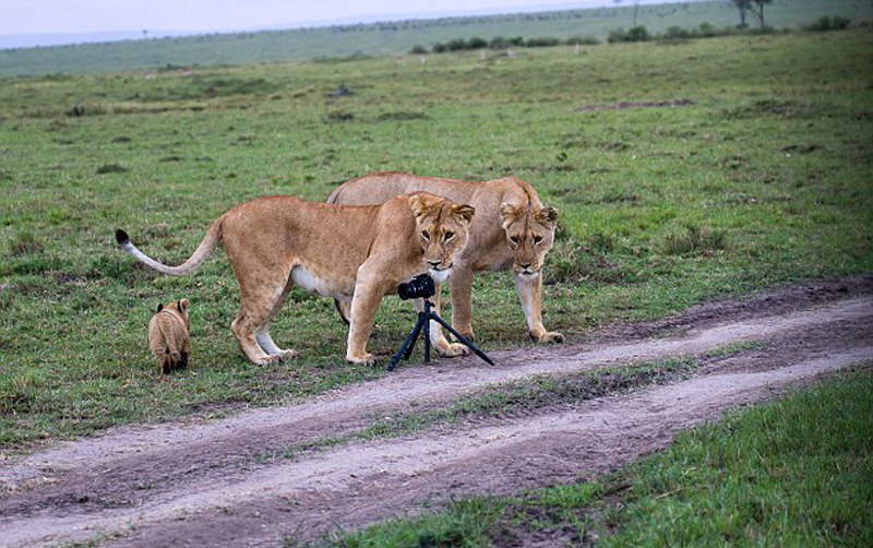 母狮吃相机镜头