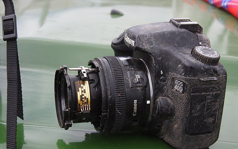 母狮吃相机镜头