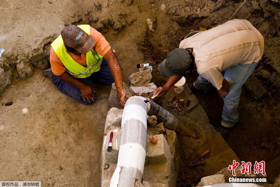 墨西哥发现1.4万年前长毛象尸骨