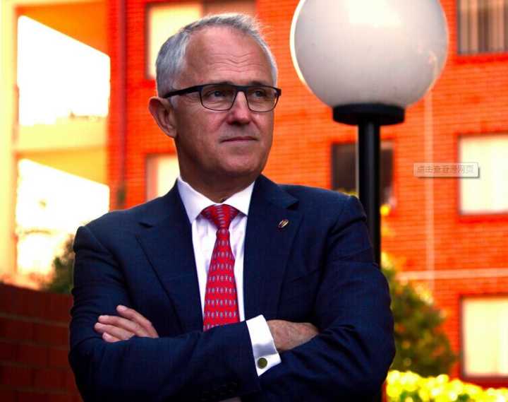 澳大利亚：现任总理特恩布尔宣布大选获胜