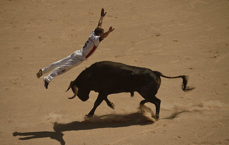 惊险！西班牙斗牛士徒手闪避公牛