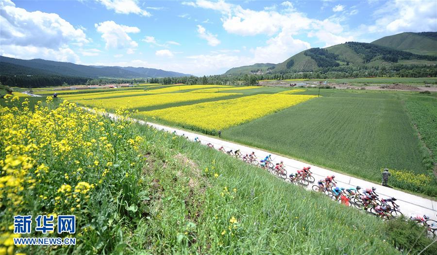 （体育）（1）自行车&mdash;&mdash;2016年环青海湖国际公路自行车赛进入第二赛段
