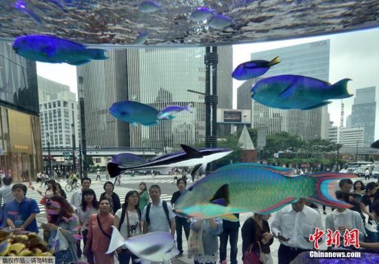 日本现14吨&ldquo;超级鱼缸&rdquo; 鱼儿游弋梦幻美妙(图)