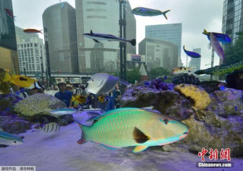 日本现14吨&ldquo;超级鱼缸&rdquo; 鱼儿游弋梦幻美妙(图)