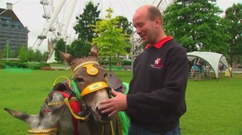 驴语者马克说，他很疼爱这些驴子。