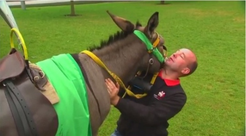 通过语音翻译器，能把驴子&ldquo;语言&rdquo;变成英语让大家听到？