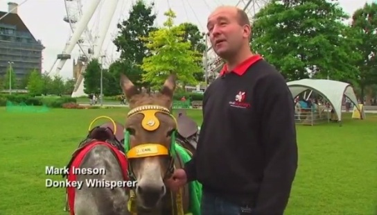 &ldquo;驴语者&rdquo;带你读驴心事可译成英语供收听（图）