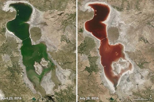 “流血”的乌尔米湖:面积不断缩小谁在作怪?(图)
