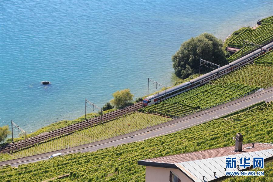 （国际）（1）瑞士拉沃夏之韵