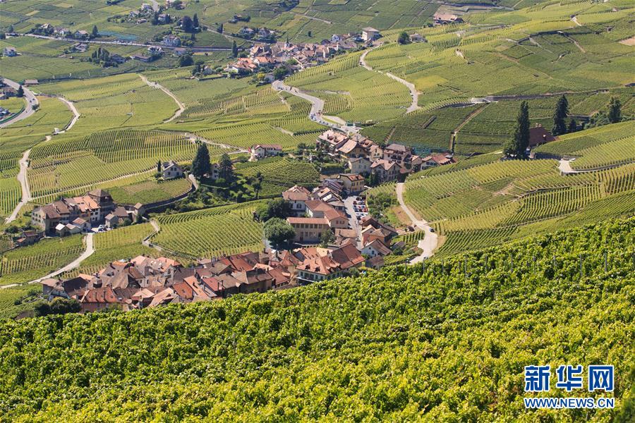 （国际）（4）瑞士拉沃夏之韵