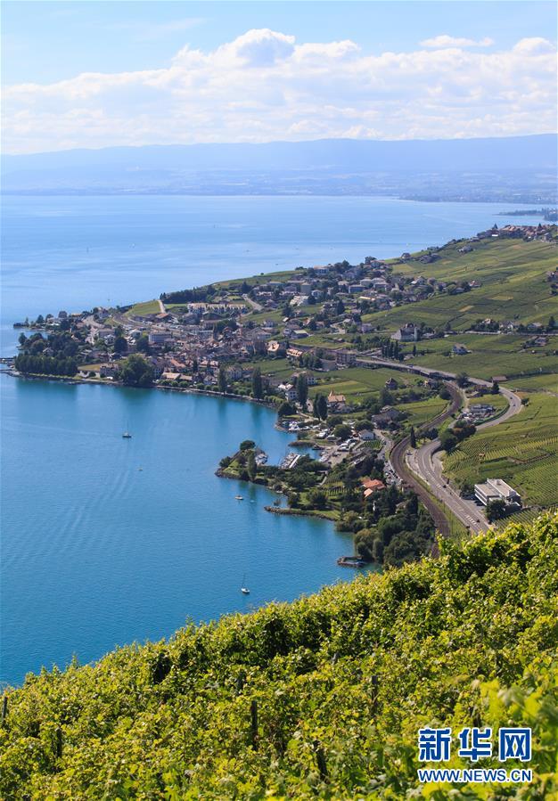 （国际）（3）瑞士拉沃夏之韵