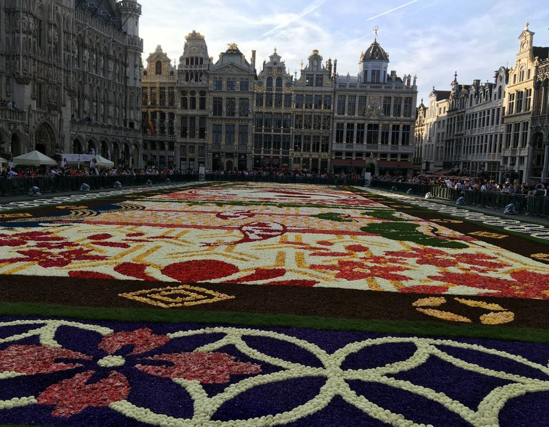 3 布鲁塞尔的&ldquo;鲜花地毯&rdquo;被誉为世界上最大的人造&ldquo;鲜花地毯&rdquo;，已成为布鲁塞尔一张最美丽的名片。记者任彦摄