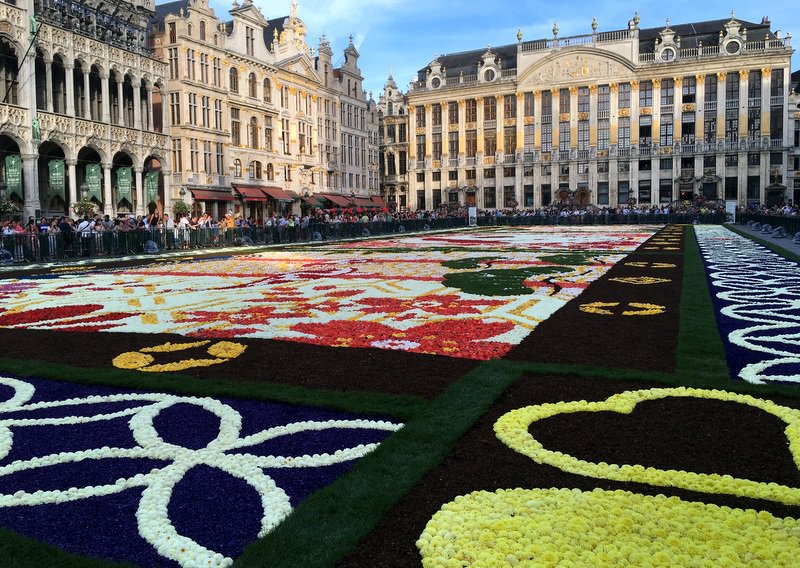 1 布鲁塞尔的&ldquo;鲜花地毯&rdquo;被誉为世界上最大的人造&ldquo;鲜花地毯&rdquo;，已成为布鲁塞尔一张最美丽的名片。记者任彦摄
