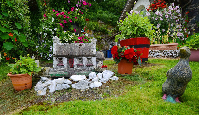 英七旬老人倾心16年打造多彩梦幻花园