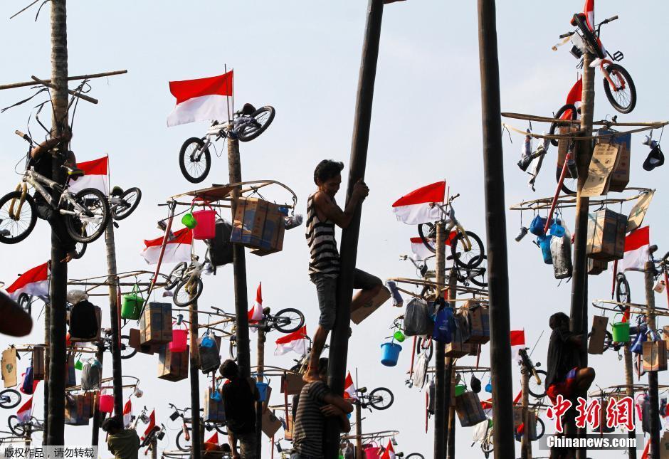 印尼民众&ldquo;爬杆&rdquo;纪念第71个独立日