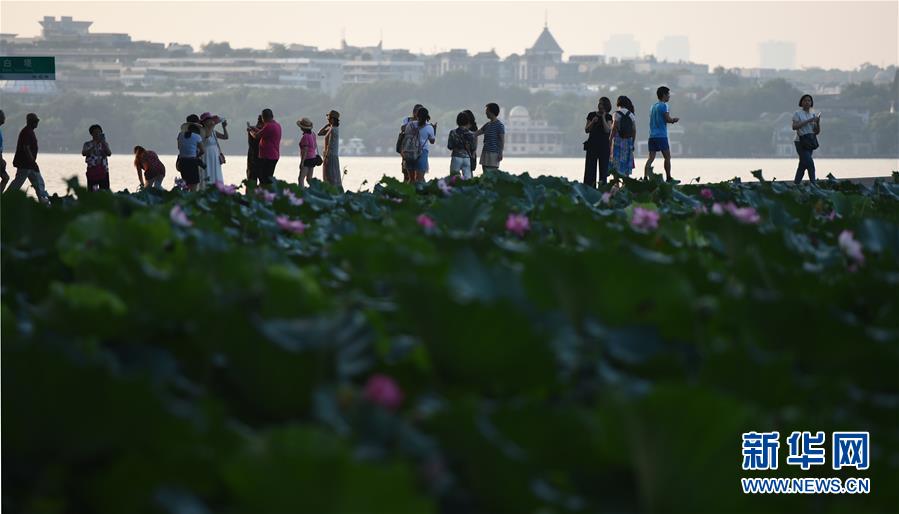 （聚焦G20）（3）西湖之晨