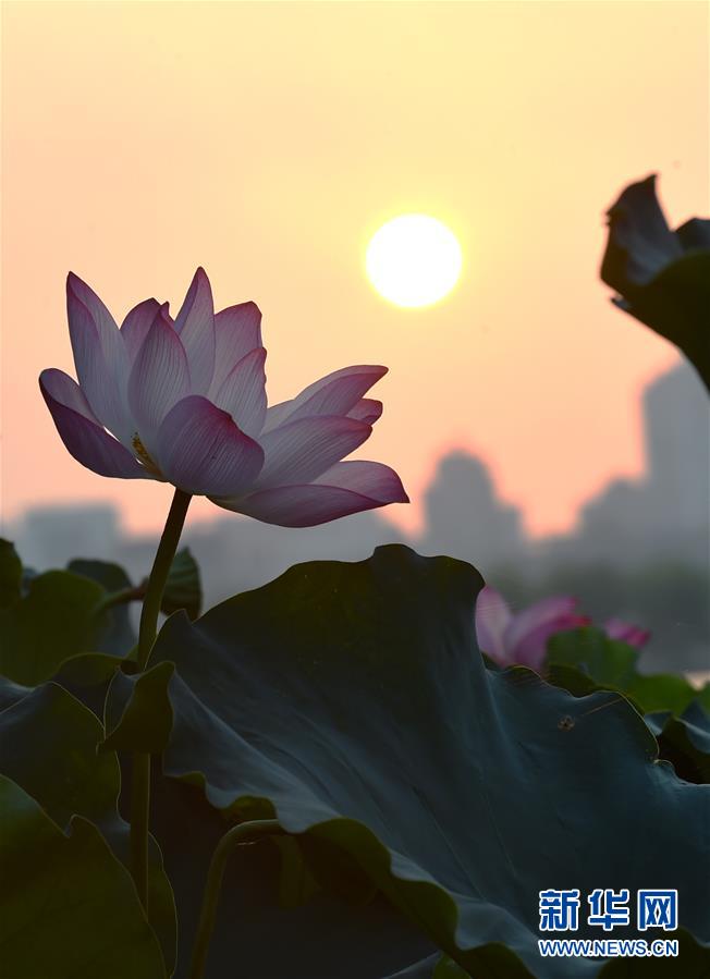 （聚焦G20）（2）西湖之晨